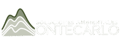 montecarlosoluciones.com